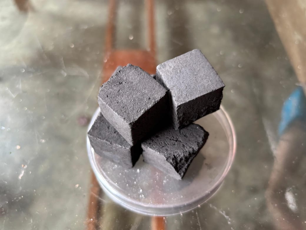 Briket dari Biomassa